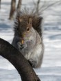 /album/galerie-photos/p1090577-jpg/